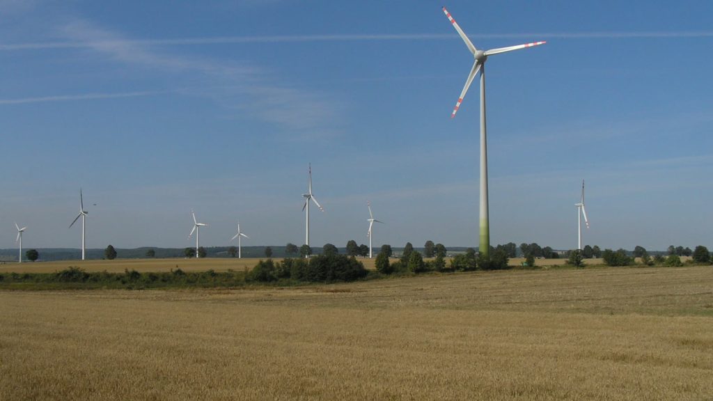 Kilkanaście turbin wiatrowych stojących na ścierniskach i polach pod bezchmurnym niebem.